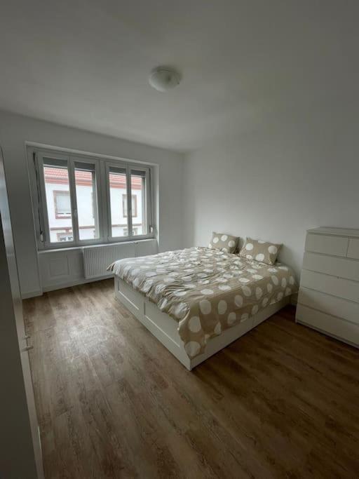 Ferienwohnung Mulhouse, Urban Family Nest Exterior foto